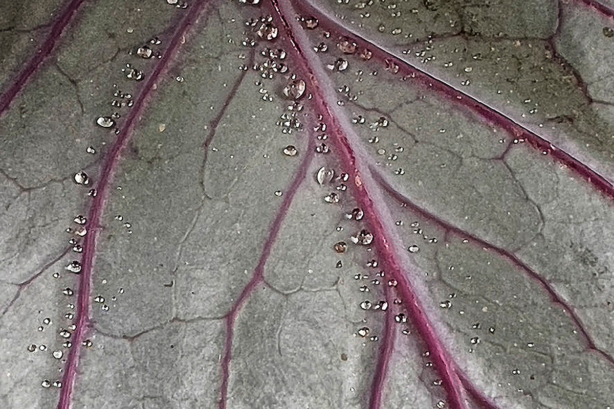 The texture of tending